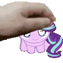 starlightpet starlightpet