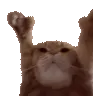 SV_Catting SV_Catting