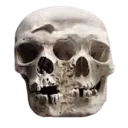 wotlskull1