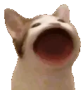 emoji_60