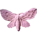melspfpmoth