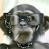 monkeywithglassessmokingsmileyem