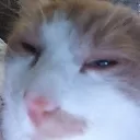 emoji_1