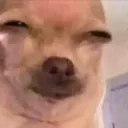 asp_susdog asp_susdog