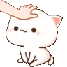 nR_gato_pat