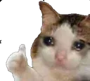 crythumbsup