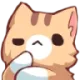 think_meow Discord Emoji