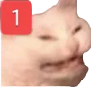 AngryCatPing