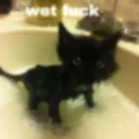 Wetfuck