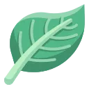 exp_bonus