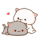 love_cat