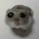 CVE_Mengsedih CVE_Mengsedih