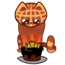 caffle_CAKE