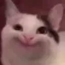 DalhiaLaughingSilently