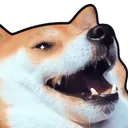 LolSquid