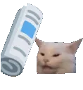 catbonk