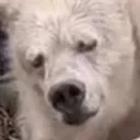 tired