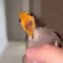 AAAAAAAAAAAAAAAAAA