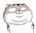 CatWoah CatWoah