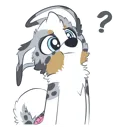 FurryDogConfused