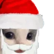 MMEOWDY