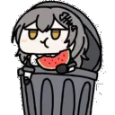 trashraccoon