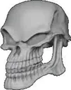 insertbadtotheboneriffhere