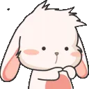 BunnyShy