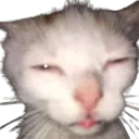 drug_cat