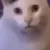 HUH