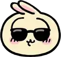 UsaSunglasses