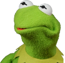 :KermitWTF: