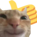 velocitydxsh_ghaiii_thumbsup