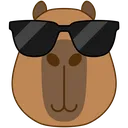 CapyCool