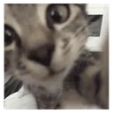 1dc7671ba48345cdb3bf461358a633a1