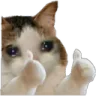 NB_0cat2like