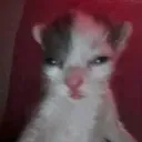 Im_Tired