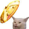 asbonk