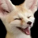 Fennicfox fennicfox Discord Emoji
