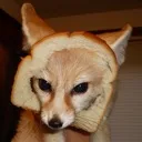 Fennicfox fennicfox Discord Emoji