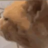 huh
