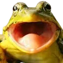 bz_froggescream Discord Emoji