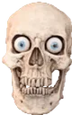 skull2