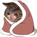 sadcat_blanket Discord Emoji