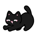 j_gatopretinho