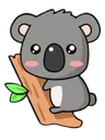 cutekoala