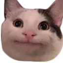 emoji_26