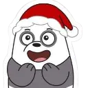 carry_cripanda_two