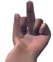 msc_middlefinger msc_middlefinger