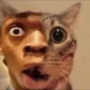 0_